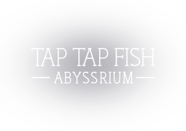 logo_mo
