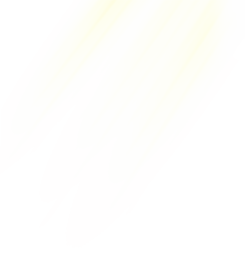 빛 모션