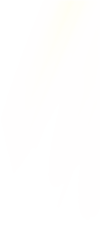 빛 모션