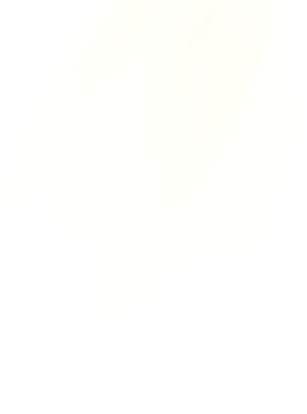 빛 모션