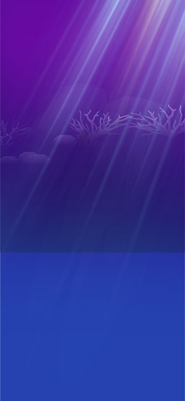 bg_mo